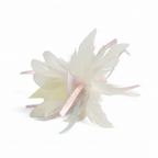 Feather Cat Toy - White Background
